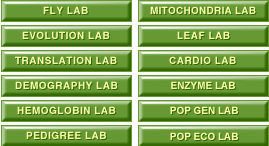 lab buttons