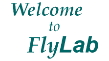 WELCOME to FLYLAB