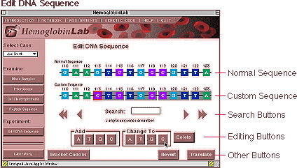 EDITING DNA SEQUENCE