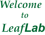 WELCOME to LEAFLAB