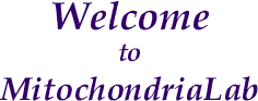 WELCOME to MITOCHONDRIALAB