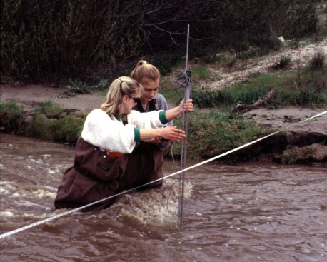 Taking a measurement with the wading rod