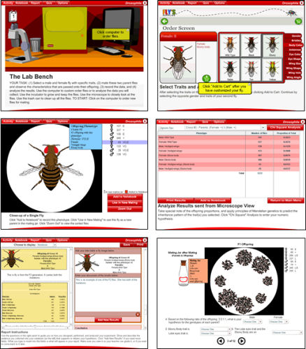 Drosophila Application